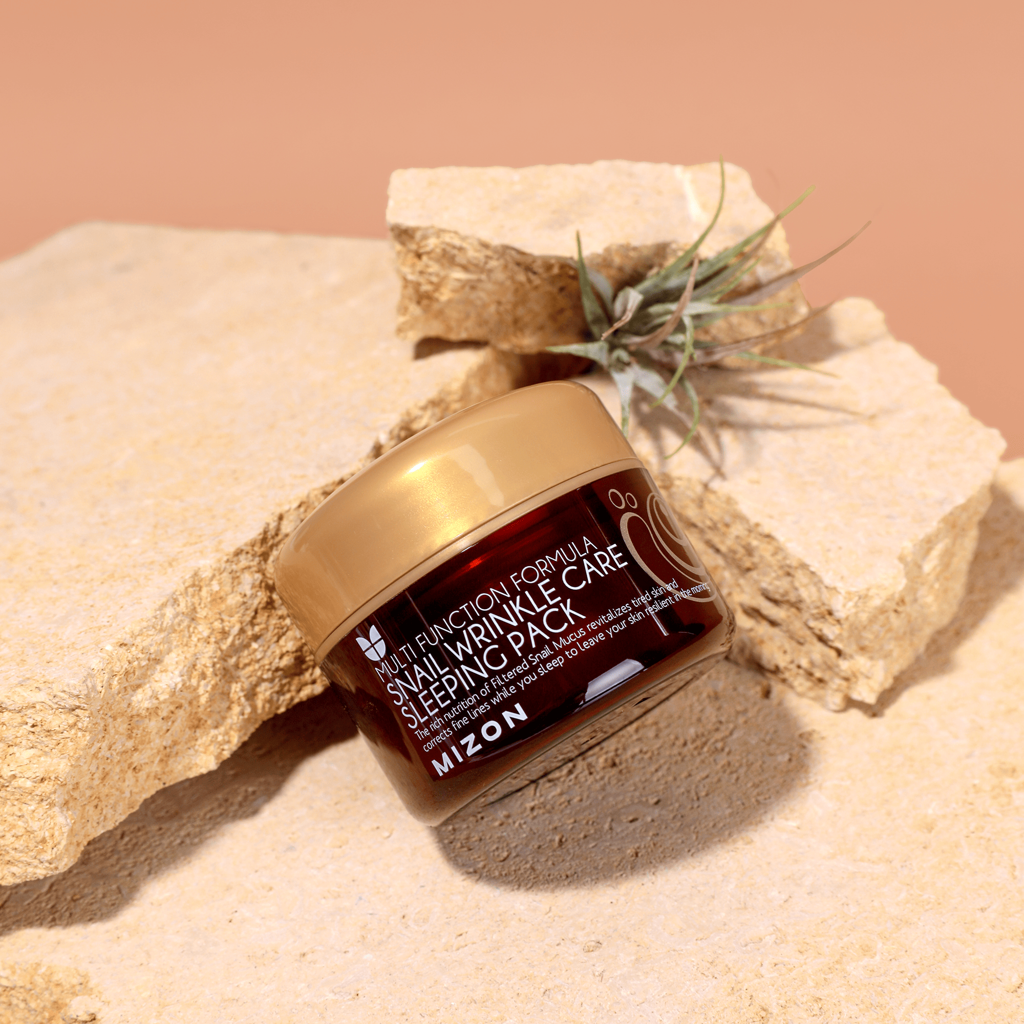 Mizon Advanced Wrinkle Care Sleeping Pack 80ml