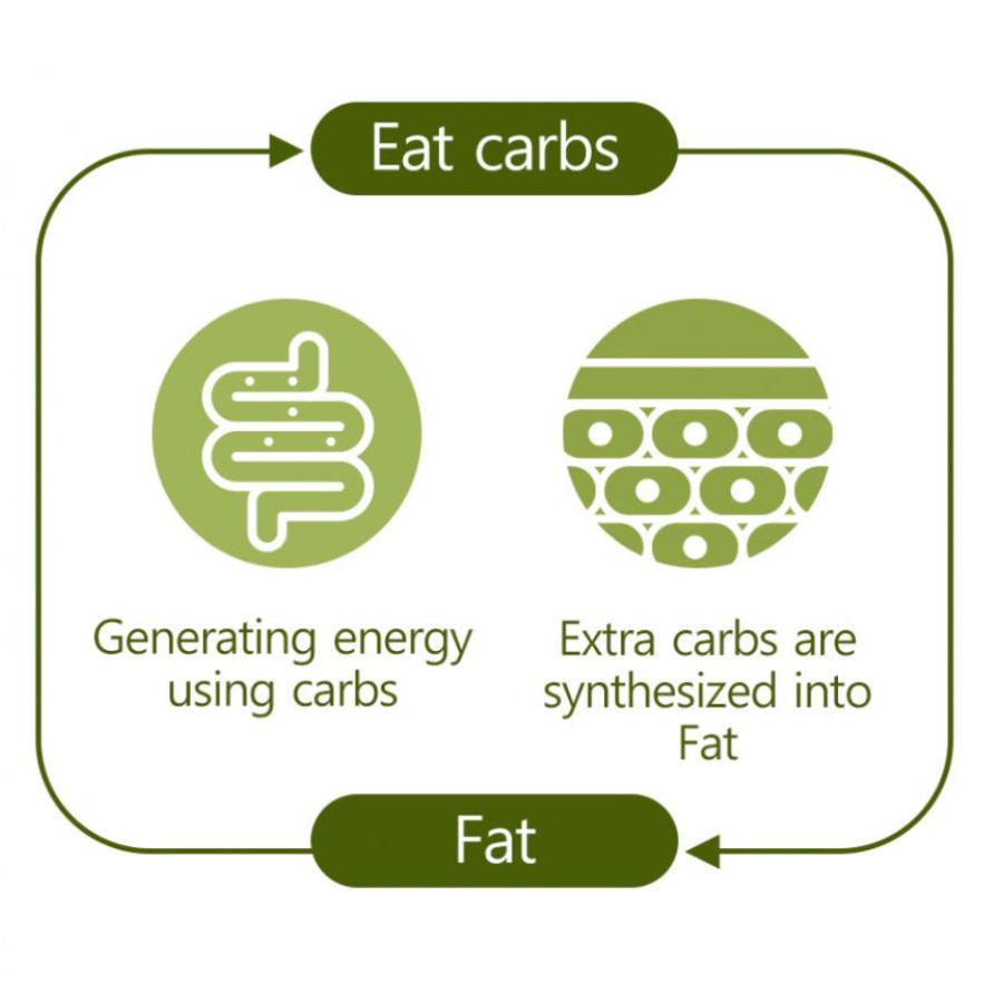 Green Monster Diet Special 2 Garcinia 900 100.8g (900mg x 112 tablets)