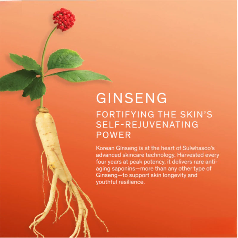 Sulwhasoo Concentrated Ginseng Rejuvenating Cream 60ml