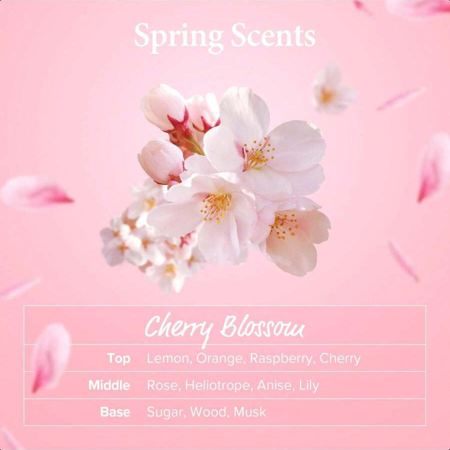kundal Caffeine Scalp Shampoo, 16.9 Fl Oz (500 Ml), Cherry Blossom