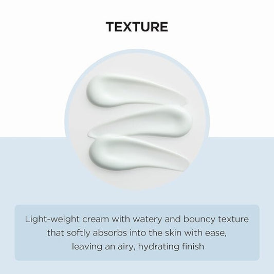 SKIN1004 Madagascar Centella Hyalu-Cica Moisture Cream 75 ml