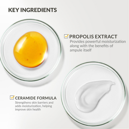 CNP Laboratory Propolis Ampule Active Shot Cream 75ml