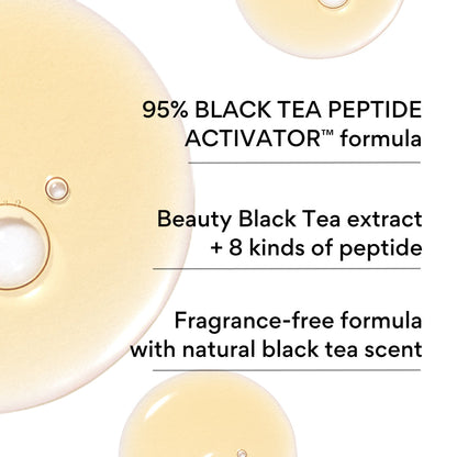 INNISFREE Black Tea Youth Enhancing Treatment Essence 145ml