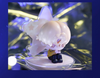 Alien Stage - Blind Box Figure(in stock now)