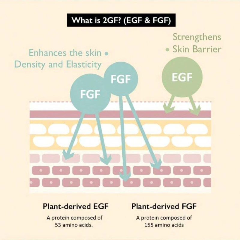 HaruHaru Wonder Black Rice Botanical 2GF Ampoule 1 Fl.Oz / 30ml