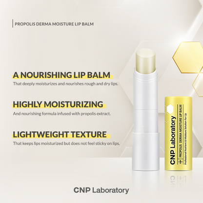 CNP Laboratory Propolis Derma Moisture Lip Balm