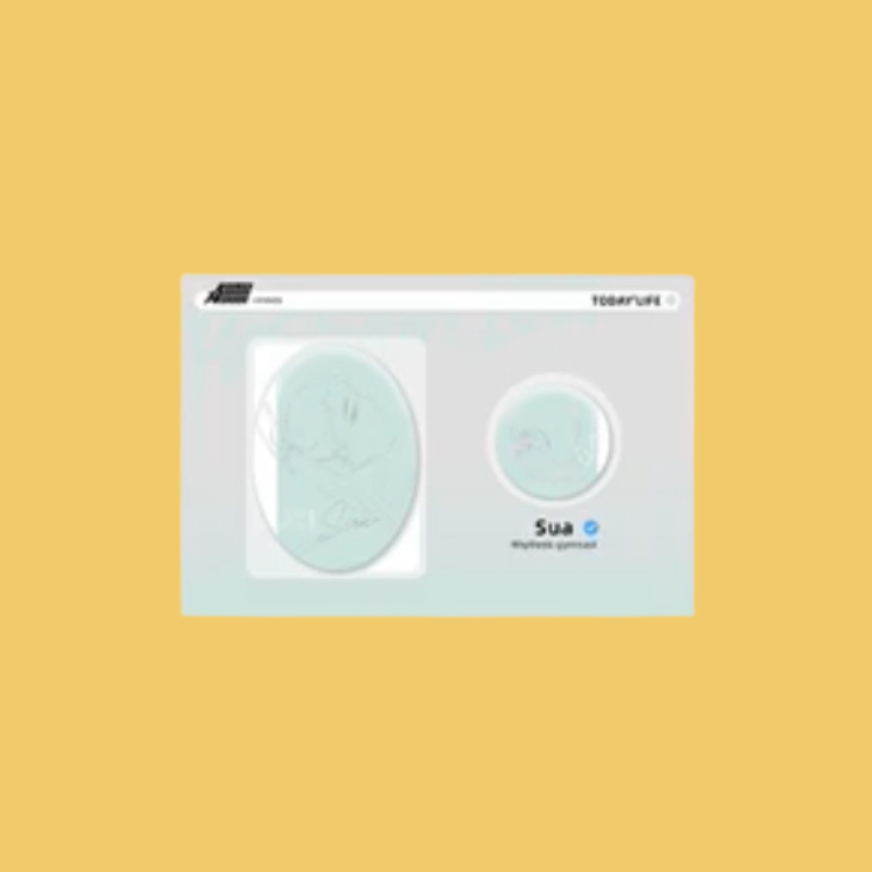 Alien Stage Passion Series - Line Art Irregular Badge Set(in stock now)