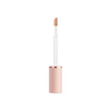 BANILA CO Covericious Power Fit Concealer 5.5g