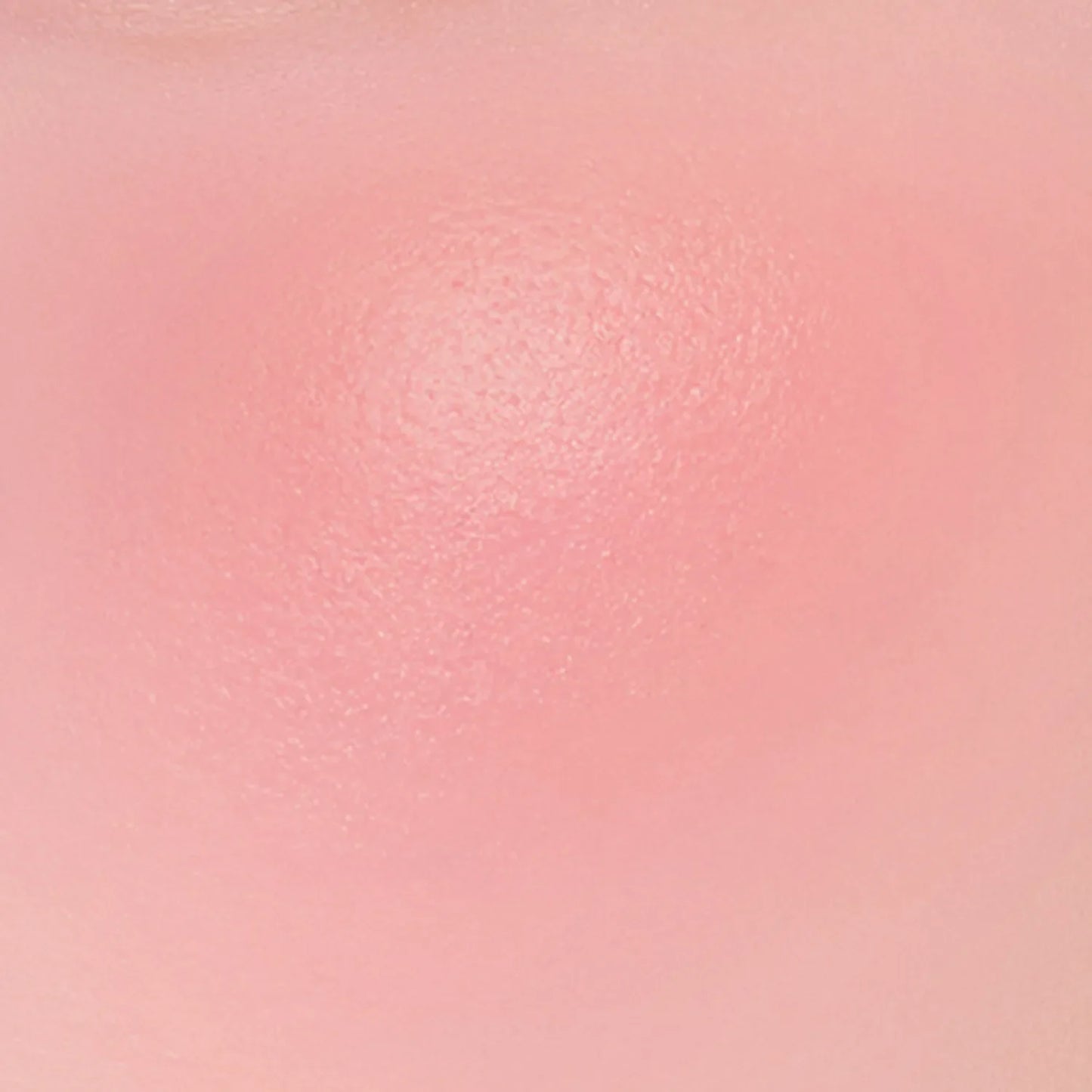 TIRTIR Airy Bloom Mesh Cushion Blush (10 Colors)