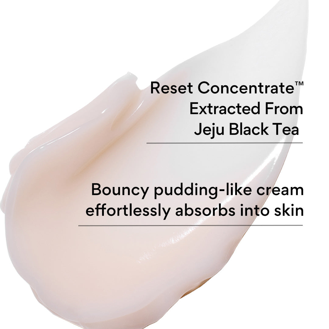 INNISFREE Black Tea Youth Enhancing Cream 50ml