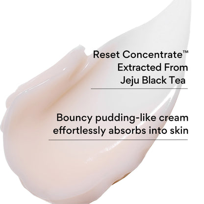 INNISFREE Black Tea Youth Enhancing Cream 50ml