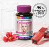 Holidays Premium Qaulity Collagen 500mg X 120ea