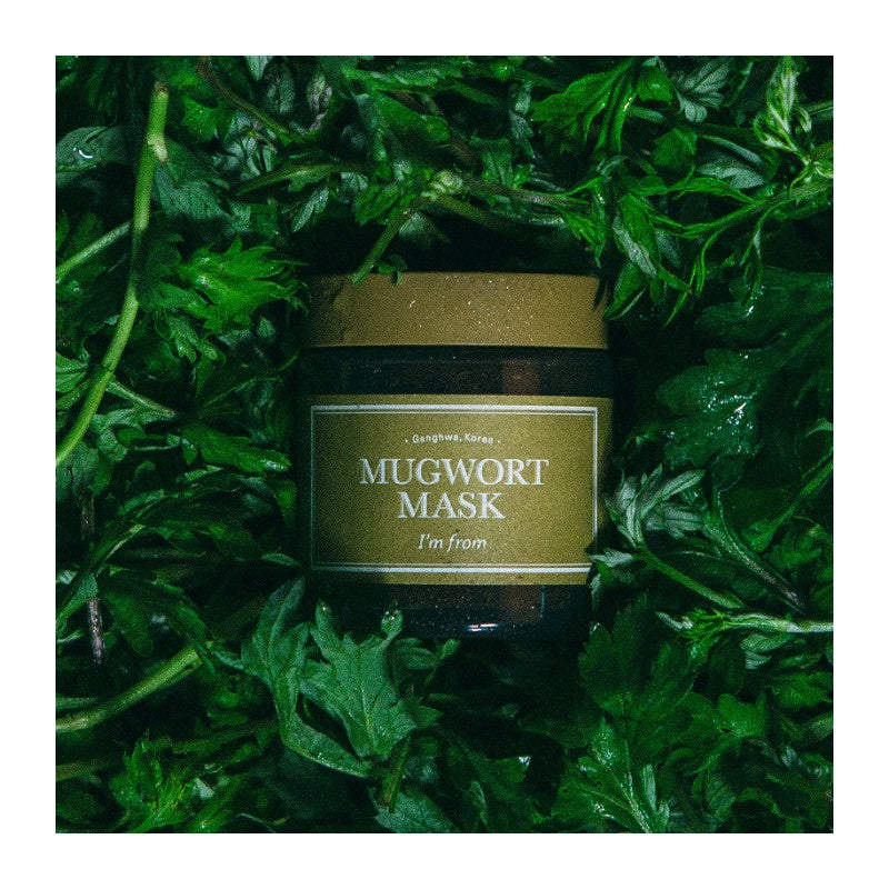 [I'm from] Mugwort Mask 110g, oily and acne-prone skin type