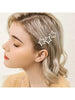 Star hair clip set