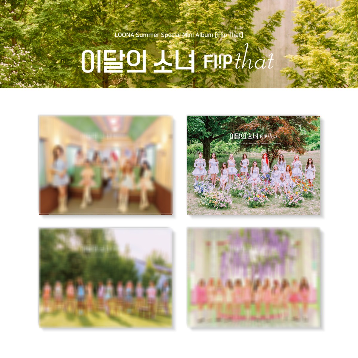 LOONA Summer Special Mini Album Flip That