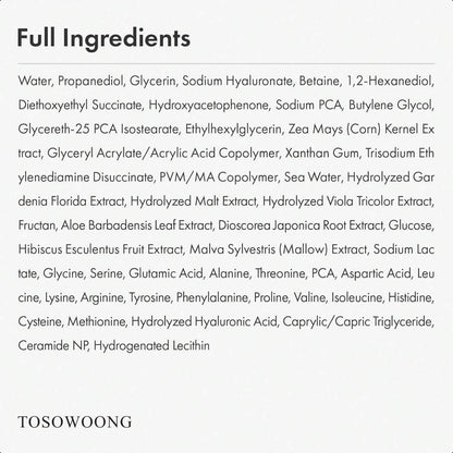 Tosowoong Hyaluronic Acid 3% Serum 30ml/1.01 Oz, 30,030ppm Sodium Hyaluronic Acid, Hydration
