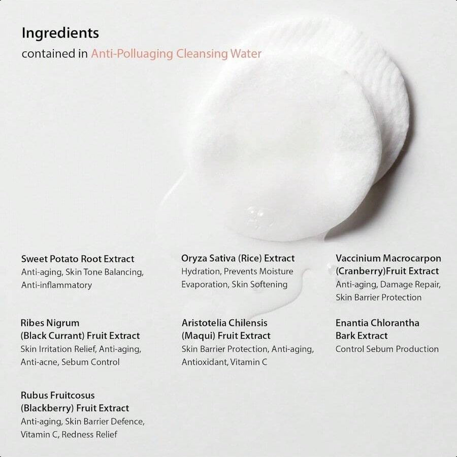 Blithe Anti Polluaging Cleansing Water With Himalayan Pink Salt - Water Based Cleanser Korean,Make Up Removers 8.4 Fl Oz