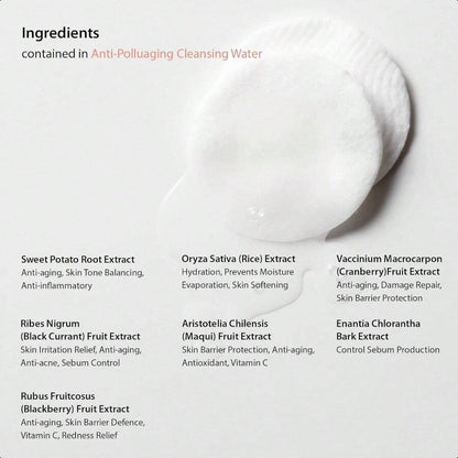 Blithe Anti Polluaging Cleansing Water With Himalayan Pink Salt - Water Based Cleanser Korean,Make Up Removers 8.4 Fl Oz