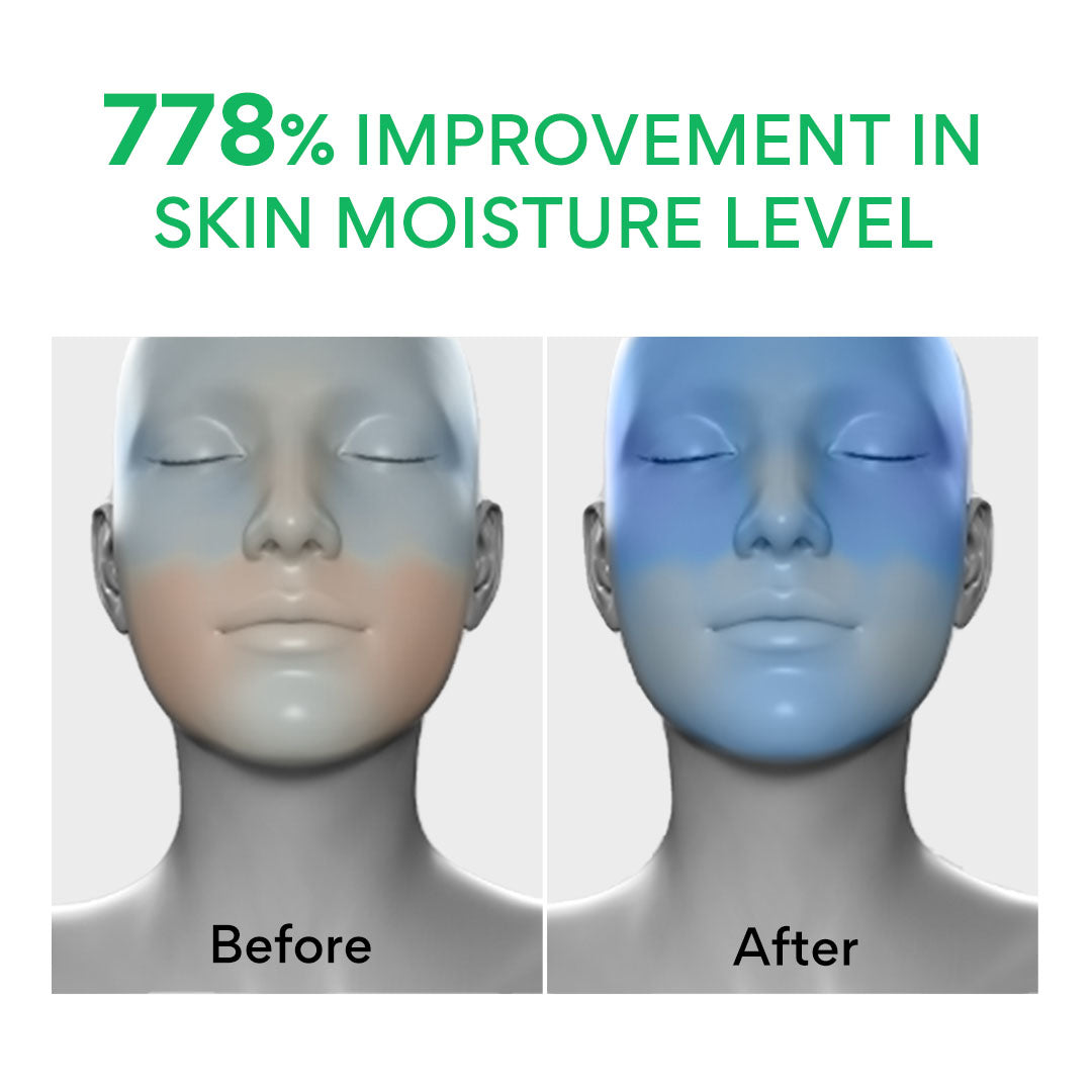 INNISFREE Green Tea  SEED Hyaluronic Serum 80ml