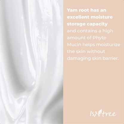 (ISNTREE) Yam Root Vegan Milk Cleanser 220ml +Refill 100ml