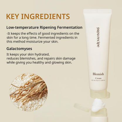 Papa Recipe Blemish Cream, Hydrating Face Moisturizer for Dry, Sensitive Skin, Korean Skincare for Men and Women 100ml, 3.38fl oz