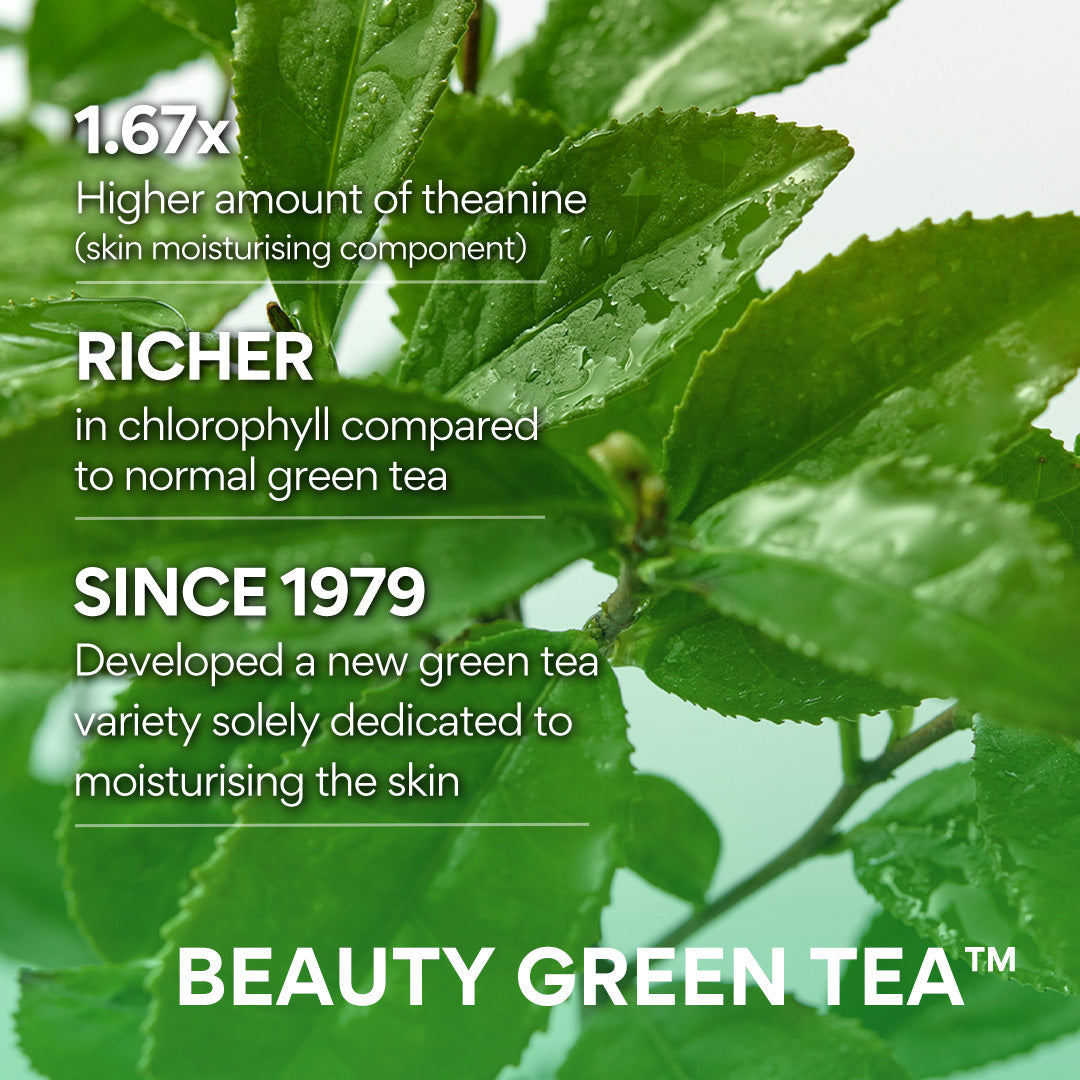 INNISFREE Green Tea Cleansing Foam Cleanser 150g