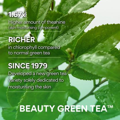 INNISFREE Green Tea Cleansing Foam Cleanser 150g