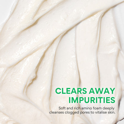 INNISFREE Green Tea Cleansing Foam Cleanser 150g