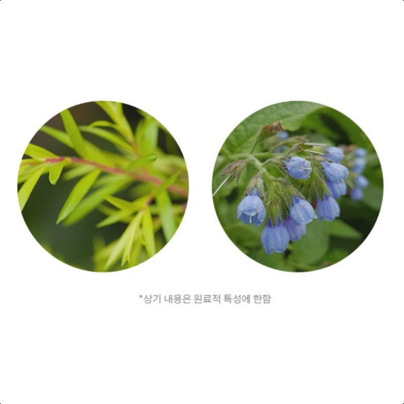 Missha All Around Safe Block Cotton Sun Cream 50ml