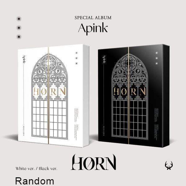 APINK Special Album HORN