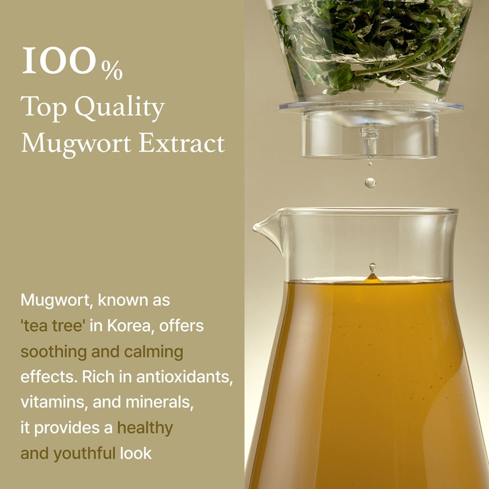 [I'm from] Mugwort Essence / Toner 160g, Acne soothing/irritation calming/100% Mugwort extract