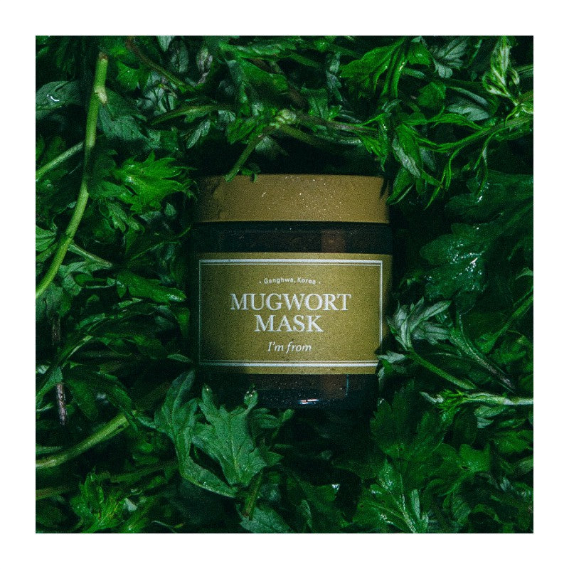[I'm from] Mugwort Mask 110g,