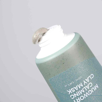 ISNTREE Mugwort Calming Clay Mask 100ml
