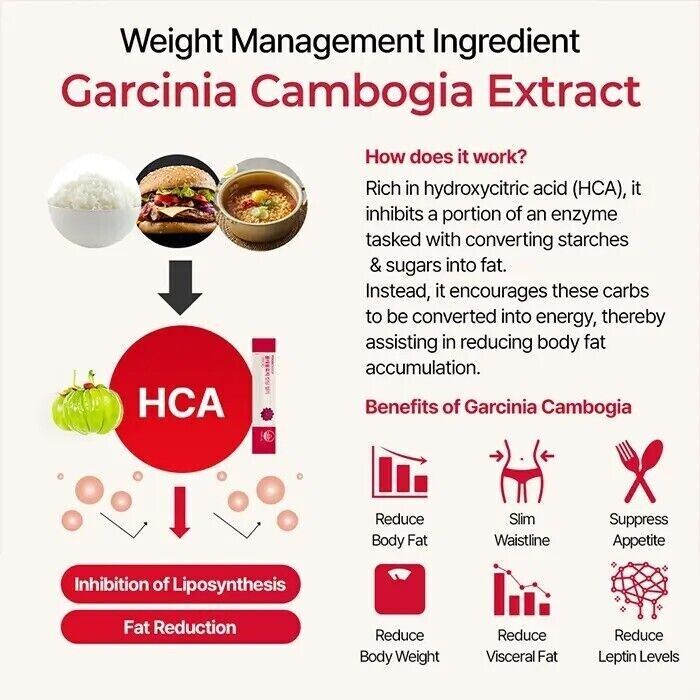 FOODOLOGY Coleology Cutting Jelly 10ea