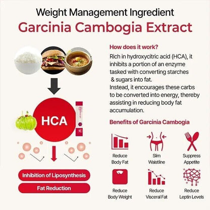 FOODOLOGY Coleology Cutting Jelly 10ea