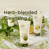 THEFACESHOP Herb Day 365 Master Blending Foaming Cleanser 170ml/100ml