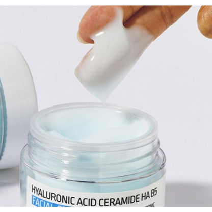 APLB Hyaluronic Acid Ceramide HA B5 Facial Cream 55ml
