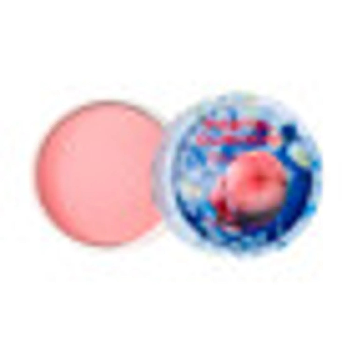THE FACE SHOP Pastel Cushion Blusher 5g