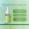Medicube Exosome Cica Tea Tree Ampoule 30ml