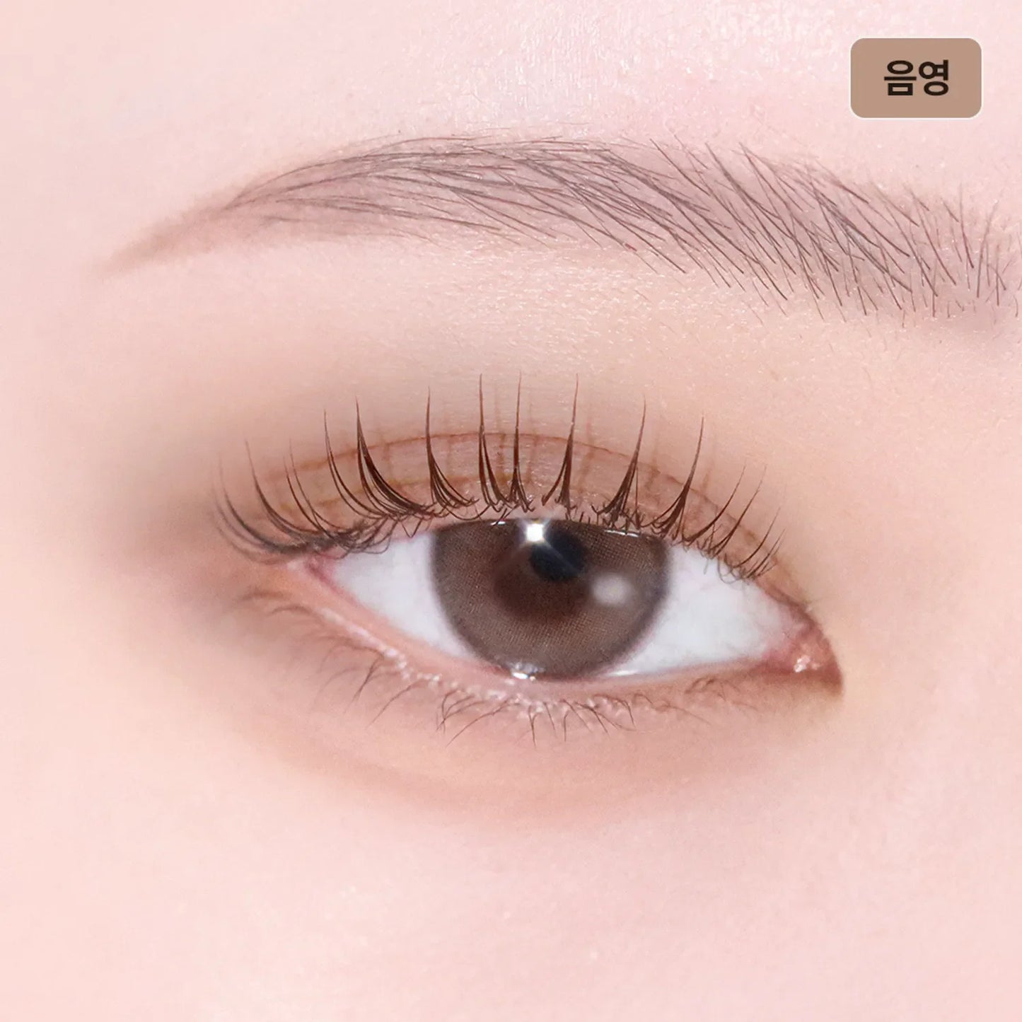 TIRTIR Airslick Pocket Eyeshadow (38 Colors)