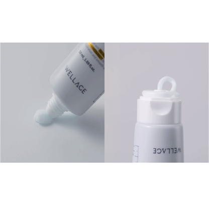 Wellage Real Hyaluronic 100 Cream 80ml
