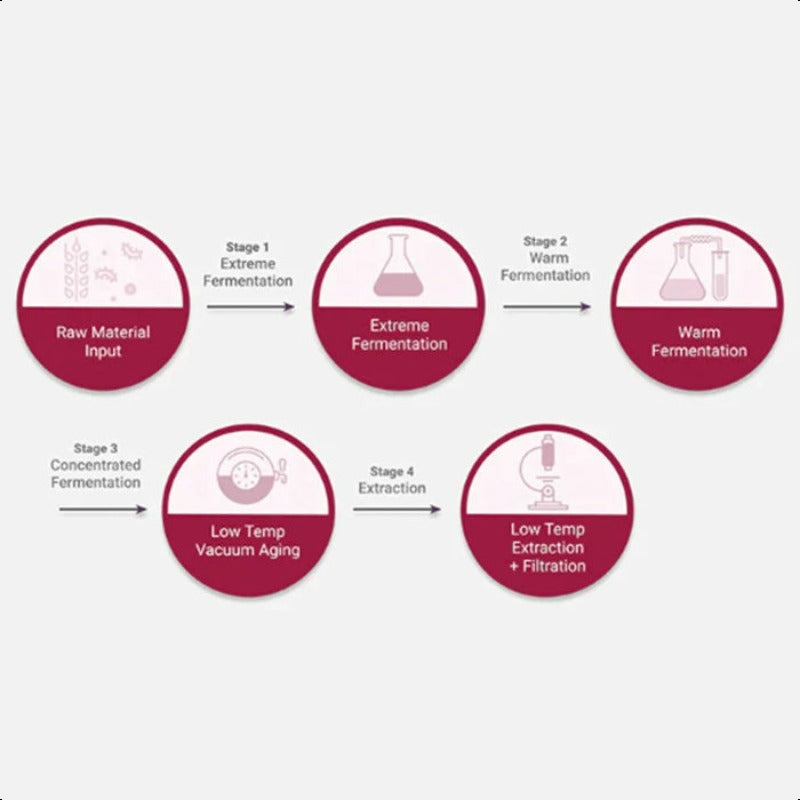 [MISSHA] Time Revolution The First Essence 5X 180ml