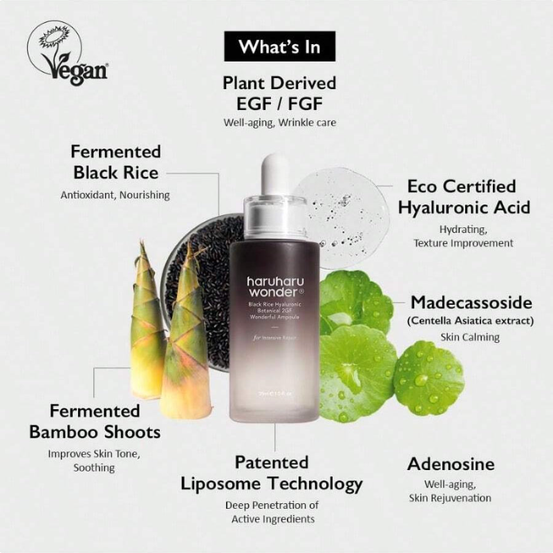 HaruHaru Wonder Black Rice Botanical 2GF Ampoule 1 Fl.Oz / 30ml