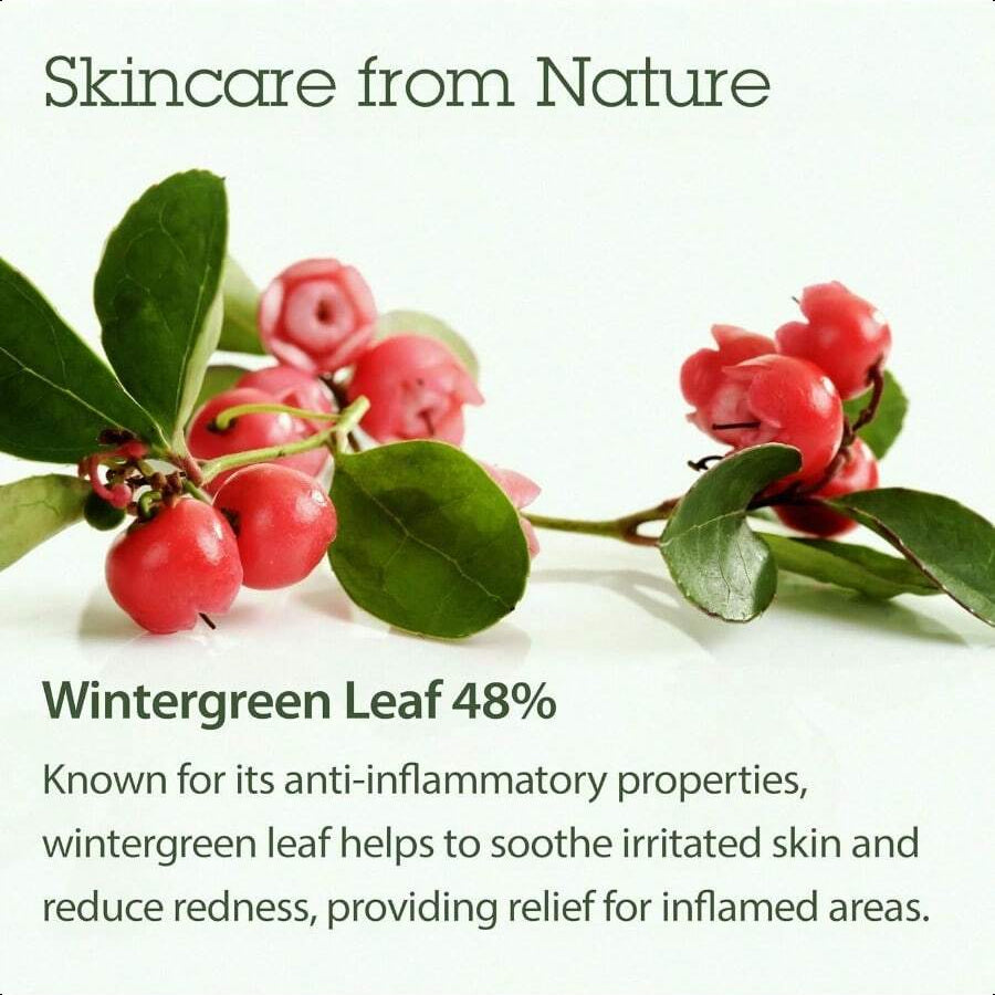 Blithe Korean Skin Care Products 6 Leaves Clear Essence For Rosacea & Redness Relief