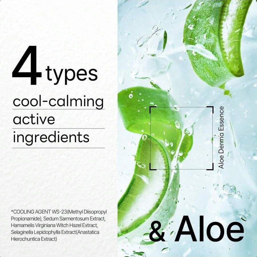 Mediheal Dermaplus Aloe Mask (10 Counts)