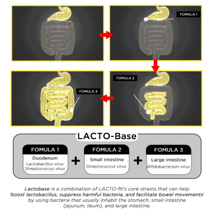 [Chong Kun Dang] LACTO-FIT PROBIOTICS CORE 60ea