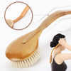 Wexin Burtch 2D body brush