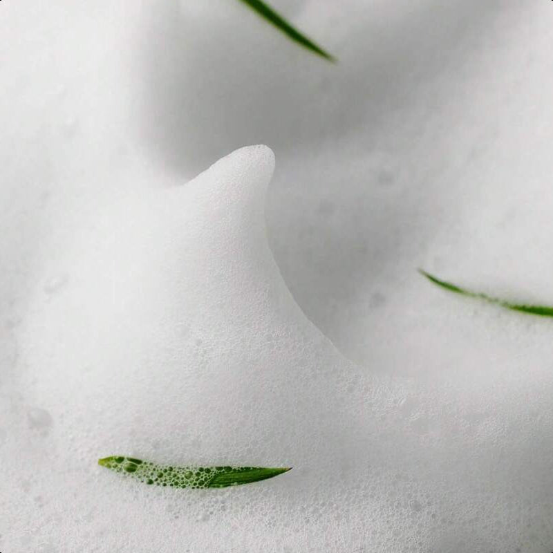 SOME BY MI AHA BHA PHA 30 Days Miracle Acne Clear Foam  3.38oz, 100ml