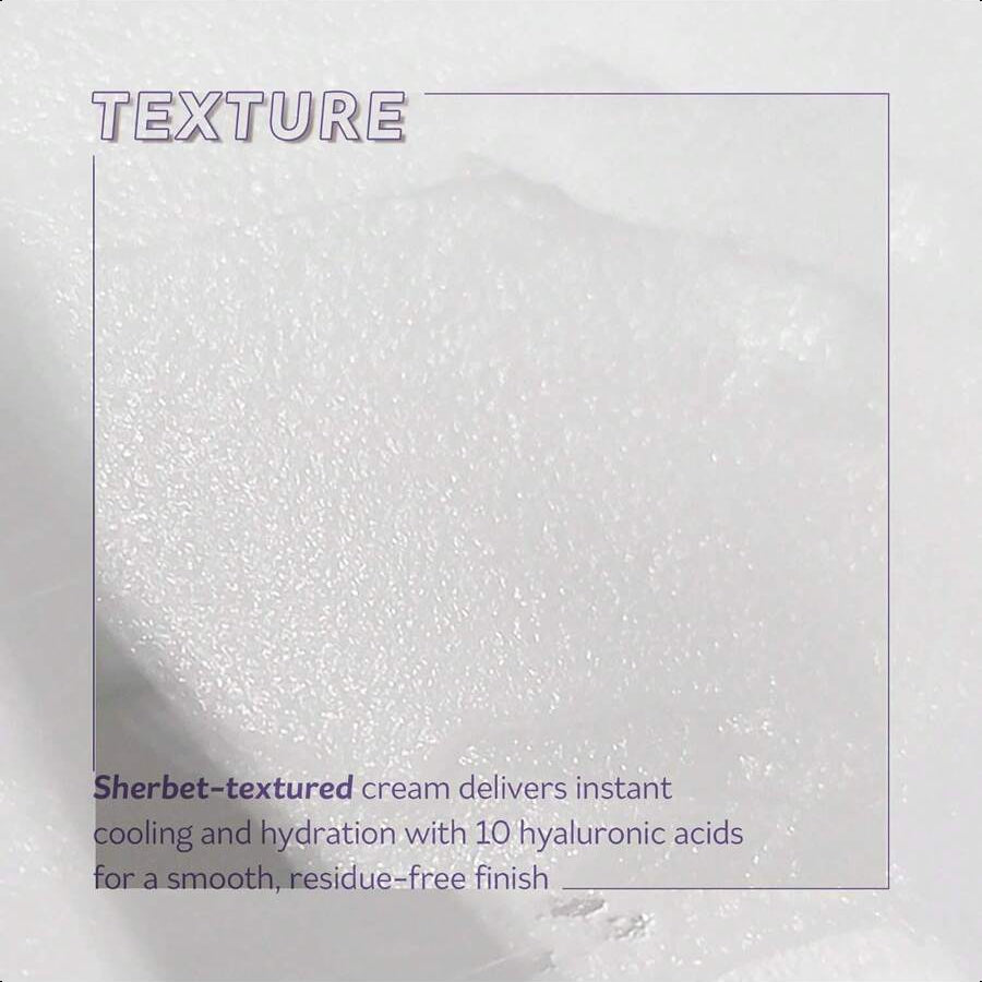 PESTLO Rejurecipe Baku:DN Cream, 1.01 Fl Oz, 30ml - Elasticity & Anti-Oxidant Care Cream, Bakuchiol, SDNA-PDRN, Salmon Extract, 10 Hyaluronic Acids For All Skin Types, Korean Skincare
