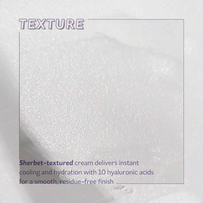 PESTLO Rejurecipe Baku:DN Cream, 1.01 Fl Oz, 30ml - Elasticity & Anti-Oxidant Care Cream, Bakuchiol, SDNA-PDRN, Salmon Extract, 10 Hyaluronic Acids For All Skin Types, Korean Skincare